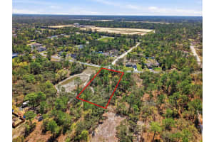 11155 MARSH WREN AVENUE, WEEKI WACHEE, FL 34614 - MLS#MFRTB8489868