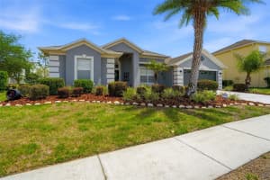 4154 BRAEMERE DRIVE, SPRING HILL, FL 34609 - MLS#MFRTB8489874