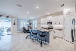 31565 CANNON RUSH DRIVE, SAN ANTONIO, FL 33576 - MLS#MFRTB8489879