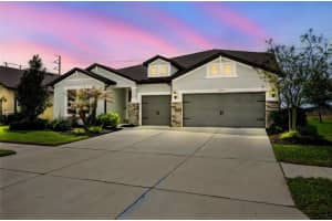 11701 BRIGHTON KNOLL LOOP, RIVERVIEW, FL 33579 - MLS#MFRTB8489895