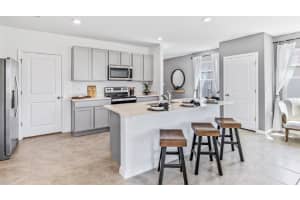 17881 ACORN DROP ROAD, LAND O LAKES, FL 34638 - MLS#MFRTB8489936