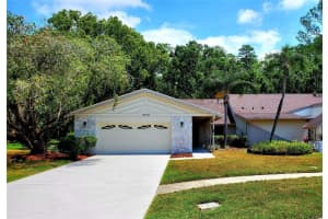 3529 TANGLEWOOD TRAIL, PALM HARBOR, FL 34685 - MLS#MFRTB8489948