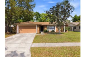 15925 CRYING WIND DRIVE, TAMPA, FL 33624 - MLS#MFRTB8489954