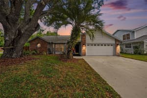 6202 BOONE DRIVE, TAMPA, FL 33625 - MLS#MFRTB8489993