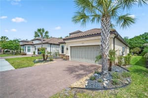 20161 UMBRIA HILL DRIVE, TAMPA, FL 33647 - MLS#MFRTB8490012