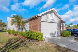 3121 BEECHER DRIVE, PALM HARBOR, FL 34683 - MLS#MFRTB8490016
