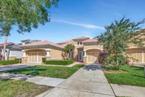 11637 Bristol Chase Dr, TAMPA