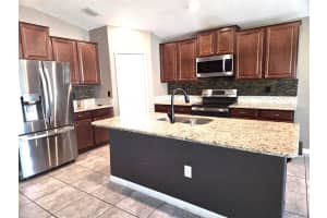 1512 CLIMBING DAYFLOWER DRIVE, RUSKIN, FL 33570 - MLS#MFRTB8490052