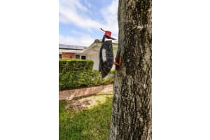 1228 INVERNESS DRIVE, DUNEDIN, FL 34698 - MLS#MFRTB8490067