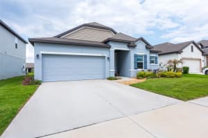 11220 BRAM BAY COURT, SAN ANTONIO, FL 33576 - MLS#MFRTB8490105