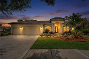 17905 ARBOR GREENE DRIVE, TAMPA, FL 33647 - MLS#MFRTB8490112