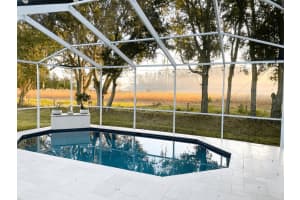 16135 LYTHAM DRIVE, ODESSA, FL 33556 - MLS#MFRTB8490121