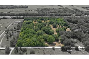 14815 SHERROD CROFT LANE, DADE CITY, FL 33525 - MLS#MFRTB8490143