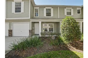 2907 BEAR OAK DRIVE, VALRICO, FL 33594 - MLS#MFRTB8490154