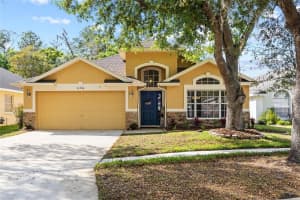 16926 HAWKRIDGE ROAD, LITHIA, FL 33547 - MLS#MFRTB8490173