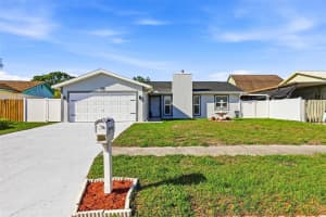 10918 TAILFEATHER COURT, TAMPA, FL 33625 - MLS#MFRTB8490189
