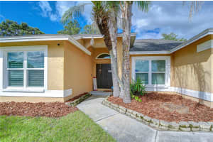 2020 ELK SPRING DRIVE, BRANDON, FL 33511 - MLS#MFRTB8490198