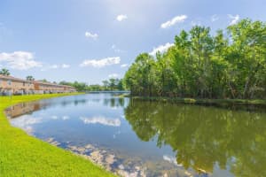 4220 WINDING RIVER WAY, LAND O LAKES, FL 34639 - MLS#MFRTB8490199