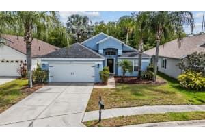 2634 PALESTA DRIVE, TRINITY, FL 34655 - MLS#MFRTB8490209