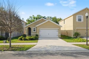 10125 HAWK STORM AVENUE, TAMPA, FL 33610 - MLS#MFRTB8490210