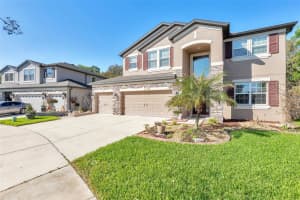 30068 SKYLARK DRIVE, WESLEY CHAPEL, FL 33545 - MLS#MFRTB8490225