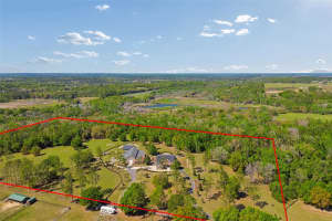 32641 BLUEBERRY HILL WAY, DADE CITY, FL 33523 - MLS#MFRTB8490233