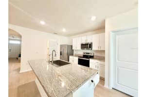 15541 BLACK PEPPER LANE, ODESSA, FL 33556 - MLS#MFRTB8490295