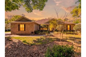 6107 KINGBIRD MANOR DRIVE, LITHIA, FL 33547 - MLS#MFRTB8490317