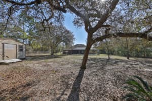 14261 ENGLISH SPARROW ROAD, BROOKSVILLE, FL 34614 - MLS#MFRTB8490324