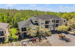 5125 PALM SPRINGS BOULEVARD, TAMPA, FL 33647 - MLS#MFRTB8490339