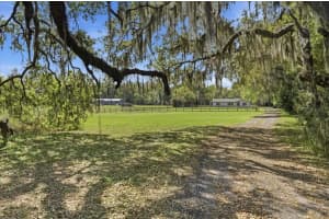 1601 JOE MCINTOSH ROAD, PLANT CITY, FL 33565 - MLS#MFRTB8490351