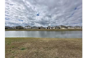 8379 ENDER HILLS DRIVE, WESLEY CHAPEL, FL 33545 - MLS#MFRTB8490400