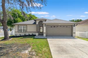 10221 WOODMERE ROAD, TAMPA, FL 33617 - MLS#MFRTB8490402
