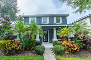 16007 LONEOAK VIEW DRIVE, LITHIA, FL 33547 - MLS#MFRTB8490413