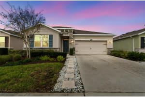 1135 PIPESTONE PLACE, WESLEY CHAPEL, FL 33543 - MLS#MFRTB8490424