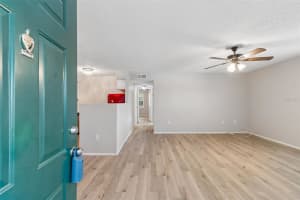 4335 AEGEAN DRIVE, TAMPA, FL 33611 - MLS#MFRTB8490432