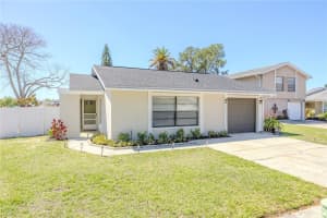 10002 Oakengate Pl, TAMPA