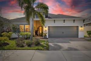 7317 Hourglass Dr, APOLLO BEACH 7317 Hourglass Dr, APOLLO BEACH