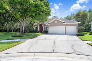 10201 MILLPORT DRIVE, TAMPA, FL 33626 - MLS#MFRTB8490461
