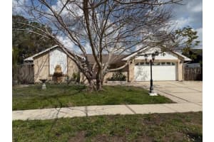 15709 Crying Wind Dr, TAMPA 15709 Crying Wind Dr, TAMPA