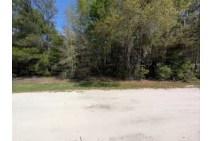SW 30TH PL, OCALA, FL 34481 - MLS#MFRTB8490483