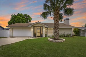 220 19TH STREET, PALM HARBOR, FL 34683 - MLS#MFRTB8490501