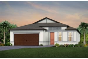 6585 Asbury Barnes Ln, WESLEY CHAPEL