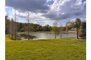 11712 JACKSON LANDING PLACE, TAMPA, FL 33624 - MLS#MFRTB8490550