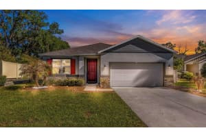 3912 REFLECTION DOCK DRIVE, SEFFNER, FL 33584 - MLS#MFRTB8490565