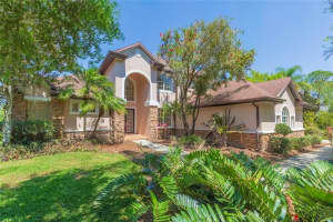 16531 HUTCHISON ROAD, ODESSA, FL 33556 - MLS#MFRTB8490577