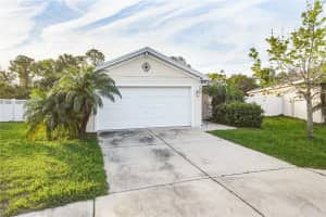 1005 CHANDLER SNOWDEN COURT, RUSKIN, FL 33570 - MLS#MFRTB8490615