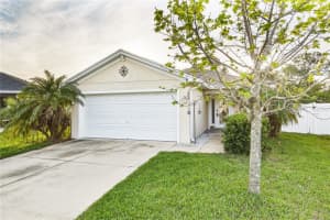 1005 CHANDLER SNOWDEN COURT, RUSKIN, FL 33570 - MLS#MFRTB8490615