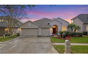 18733 CHOPIN DRIVE, LUTZ, FL 33558 - MLS#MFRTB8490648