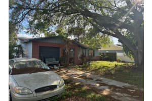 7413 ARIPEKA DRIVE, TAMPA, FL 33619 - MLS#MFRTB8490649